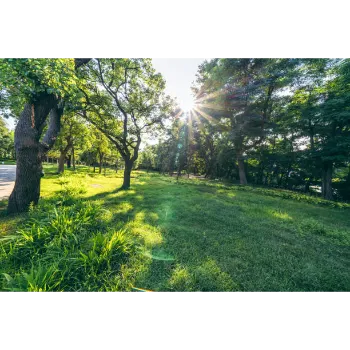Natural Grass
